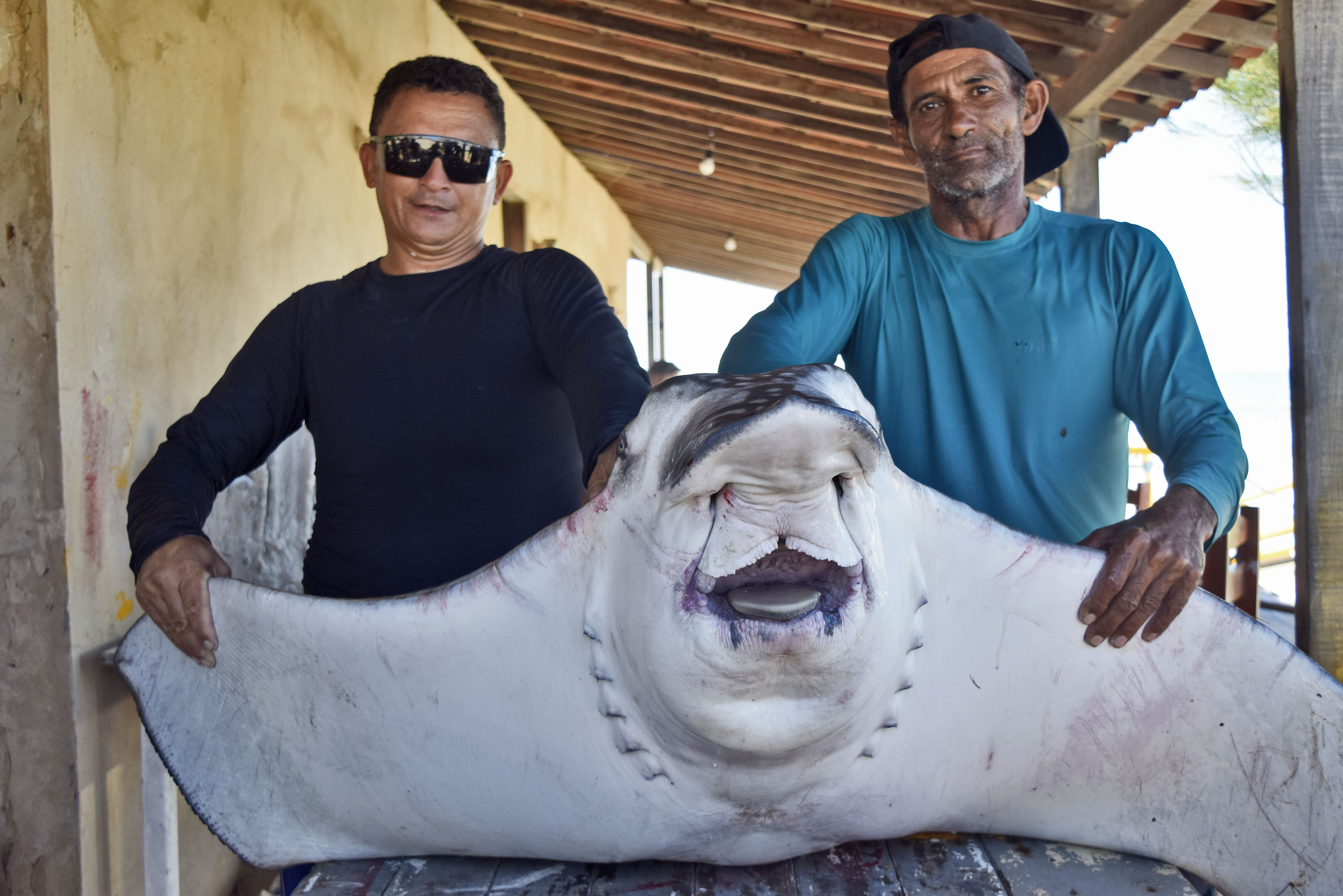 Pescadores em ação III – A morte que traz a vida, e a vida que traz a morte.